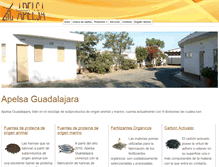 Tablet Screenshot of apelsaguadalajara.com.mx